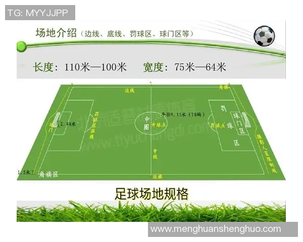 足球明星罚球记录分析与历史数据汇总探讨