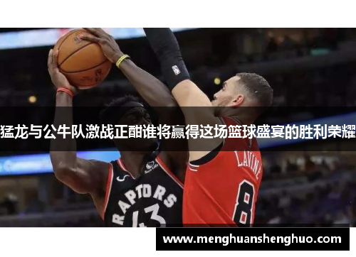 猛龙与公牛队激战正酣谁将赢得这场篮球盛宴的胜利荣耀